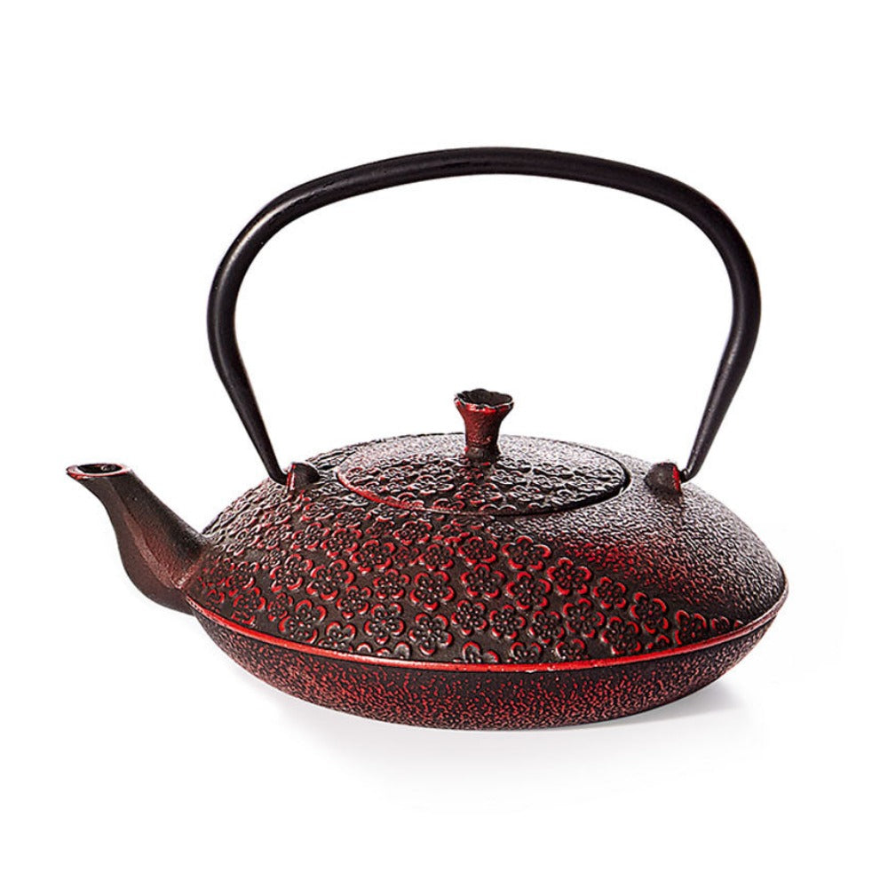 Iron Teapot "Guangxi"