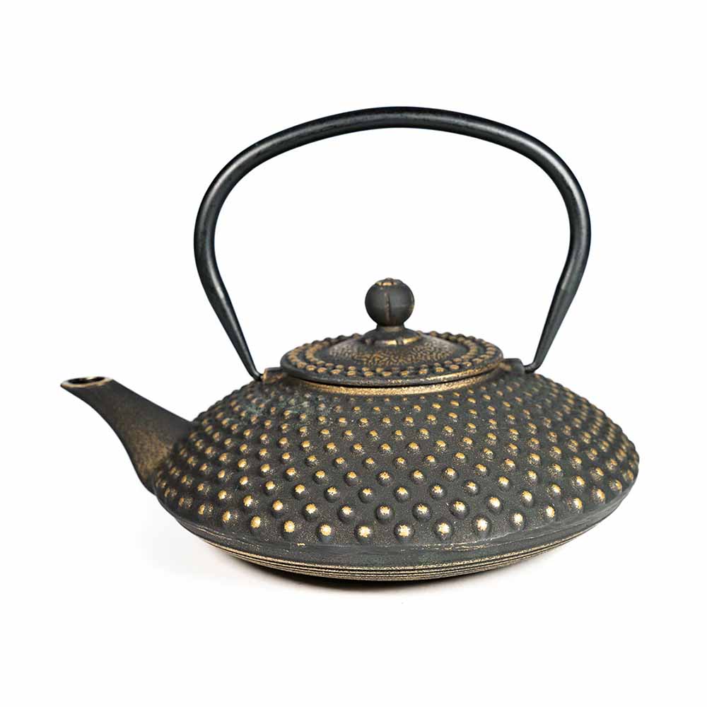 Iron Teapot "Xiamen"