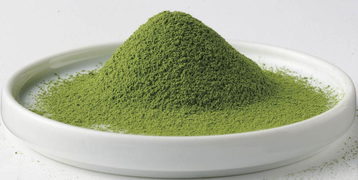Culinary Matcha (Japan) organic