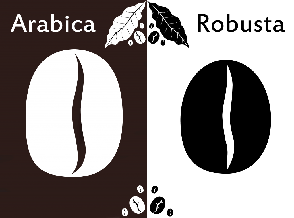 arabica_robusta-1024x760